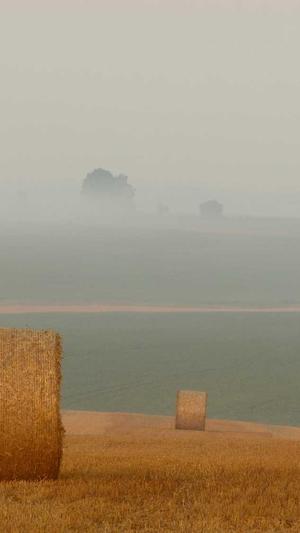 豆瓣自由吃瓜基地截图1